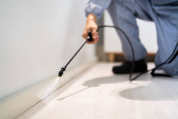 Licensed Exterminator service in Van Alstyne, TX - Show Me Pest Control